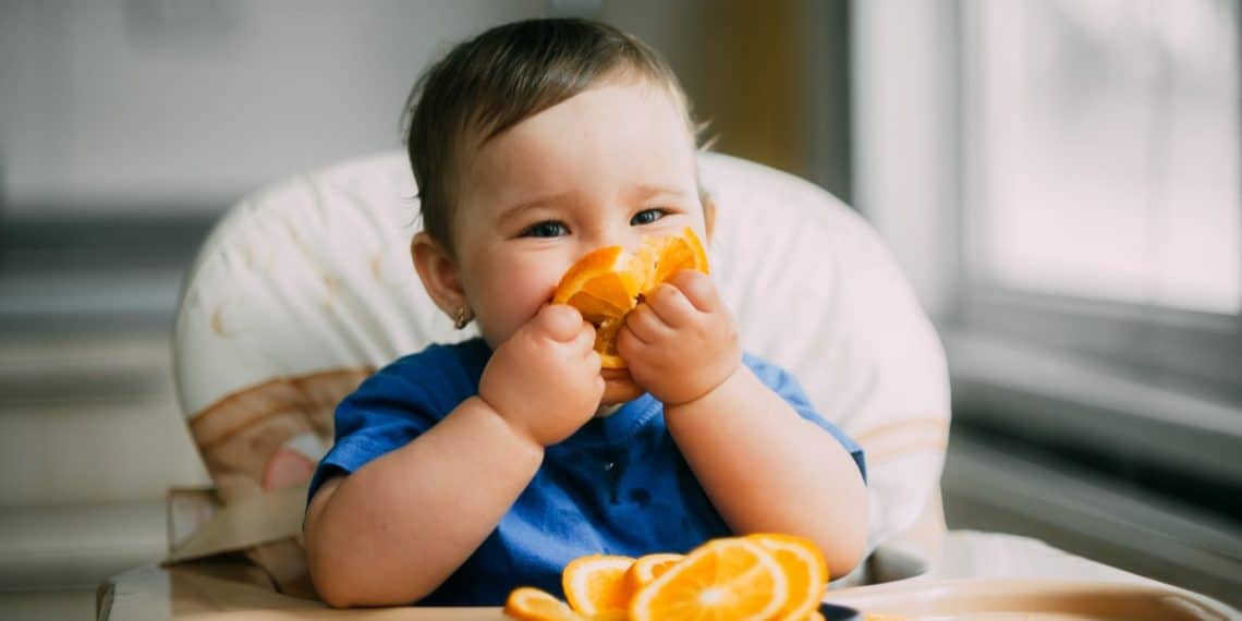 guia-alimentacion-bebes